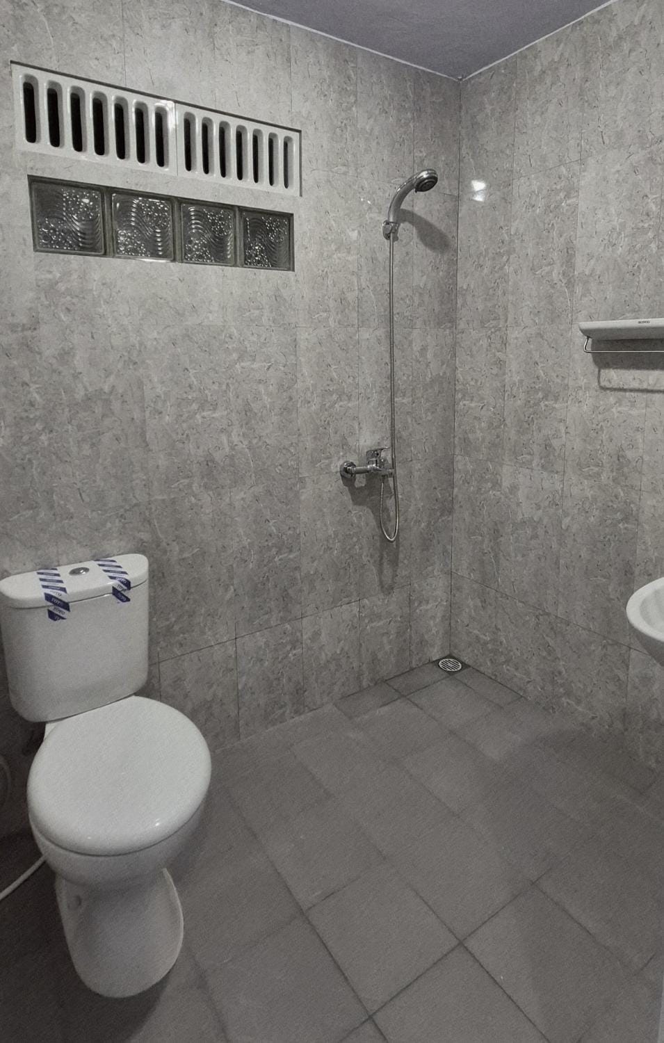 Shower, Toilet, Bathroom, bidet
