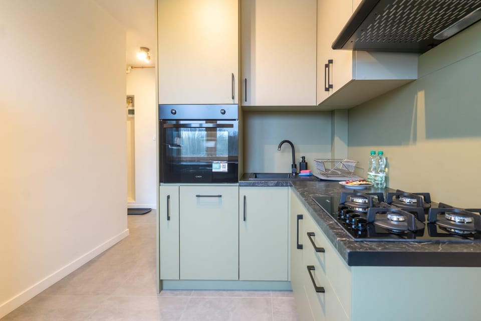Kitchen or kitchenette, dishwasher, stove