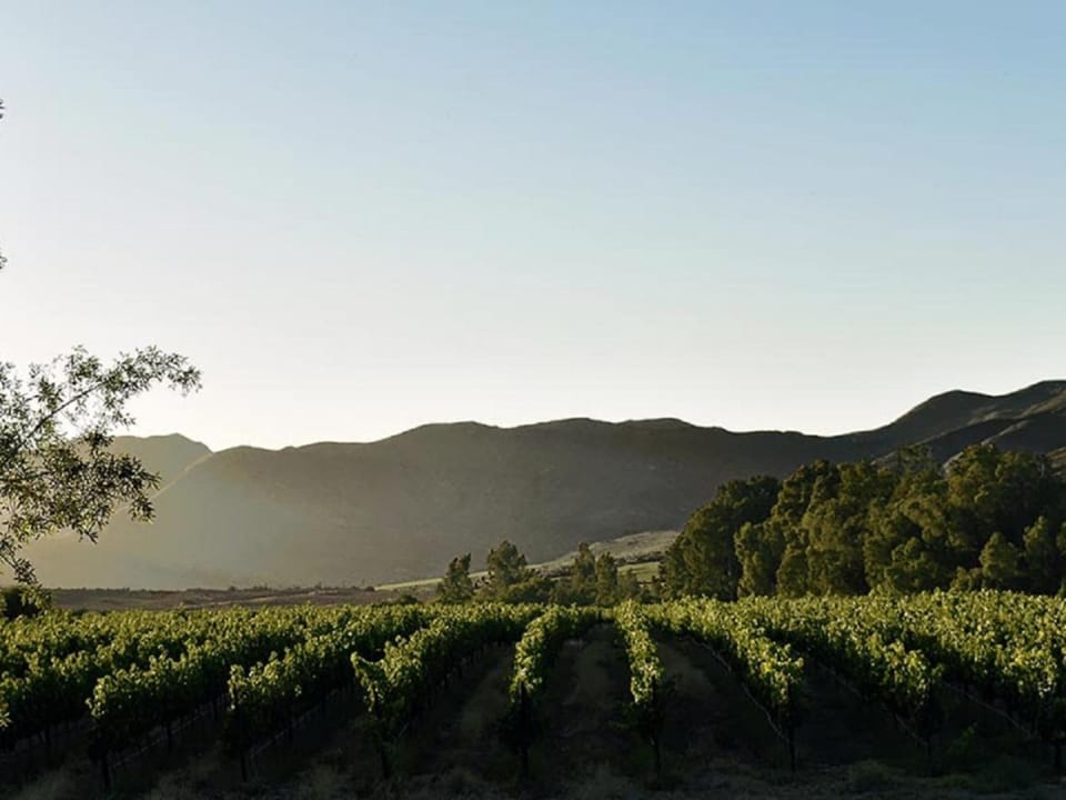 Natural landscape, Garden, View (from property/room), Mountain view