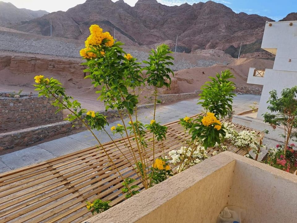 Sunny Dahab Apartment in South Sinai Governorate