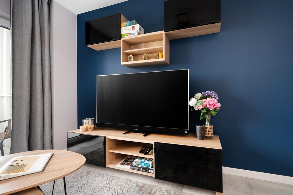 TV and multimedia
