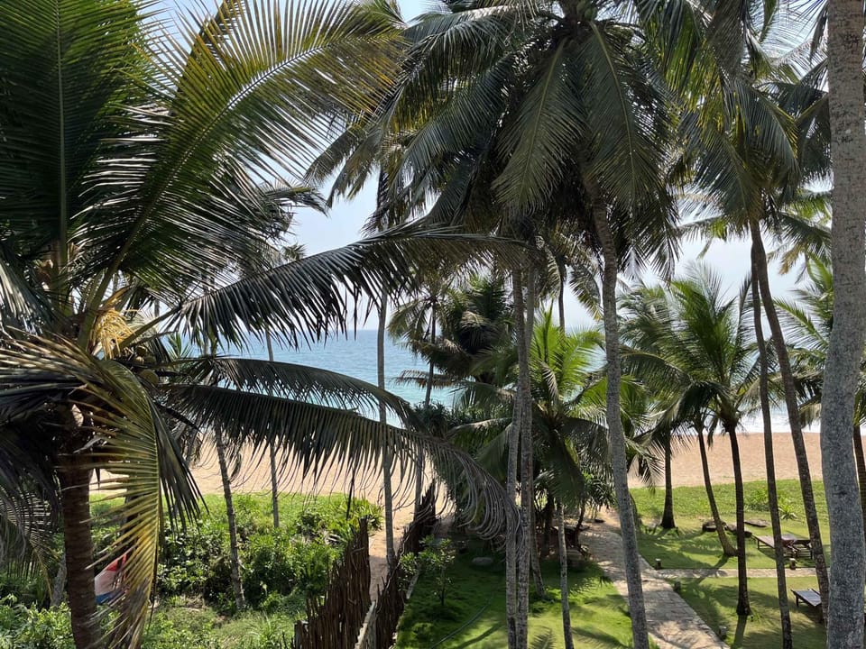 Day, Beach, Sea view