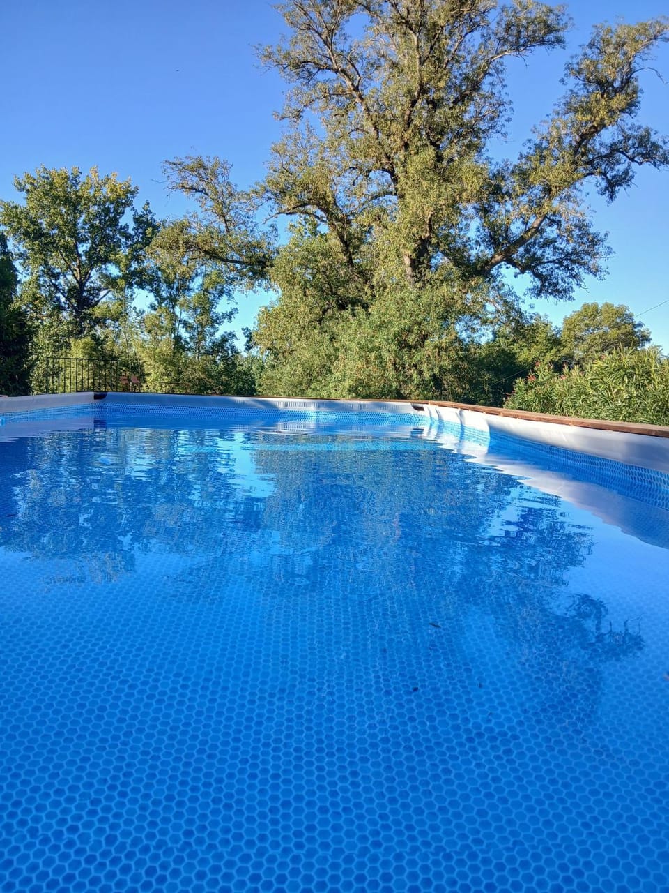 Château de La Renaudie Bed and Breakfast in Nouvelle-Aquitaine