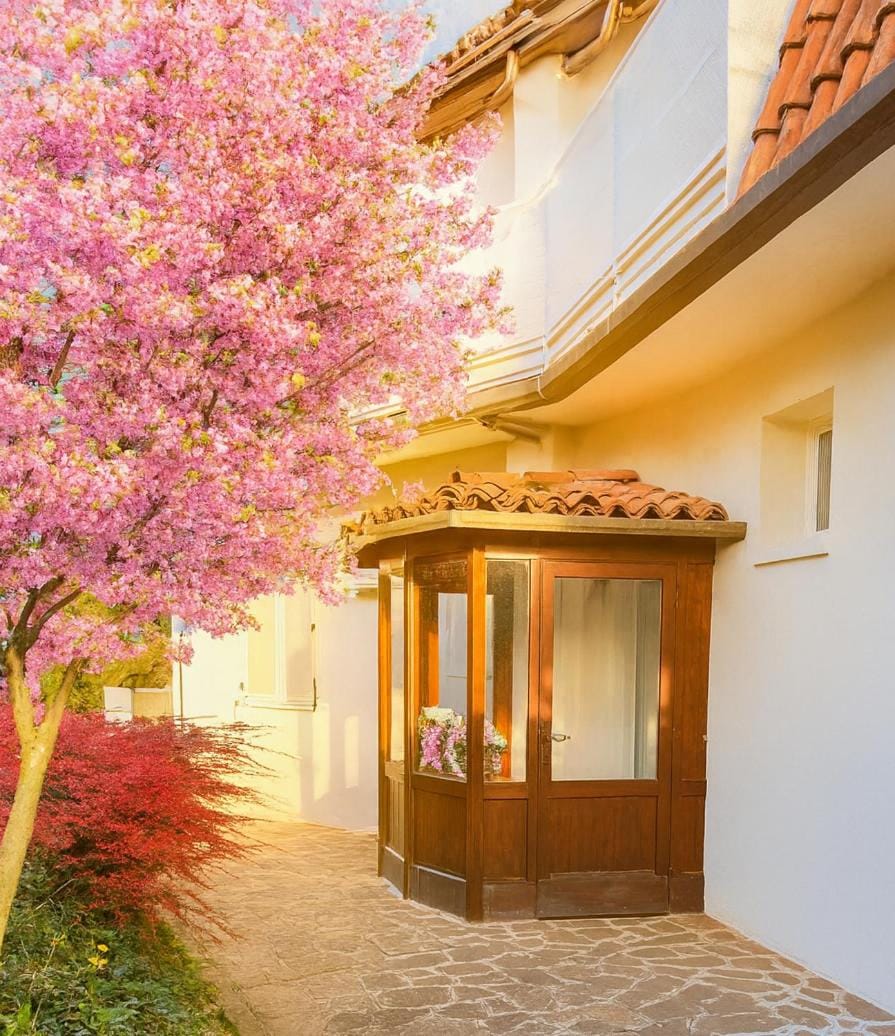 Property building, Garden, Garden view