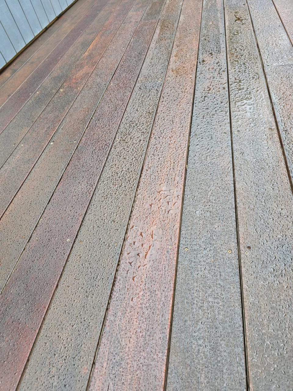 Patio, Patio, Day