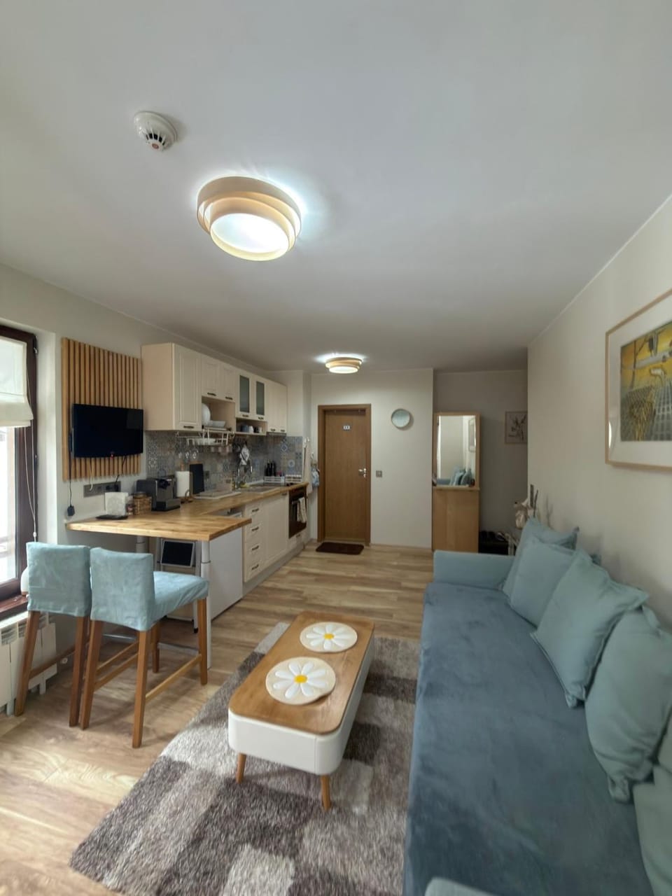 Green Line Studio Appartment Pamporovo Apartment in Plovdiv Province