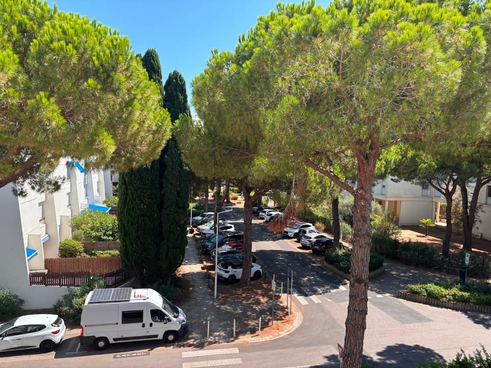 Bird's eye view, View (from property/room), Street view
