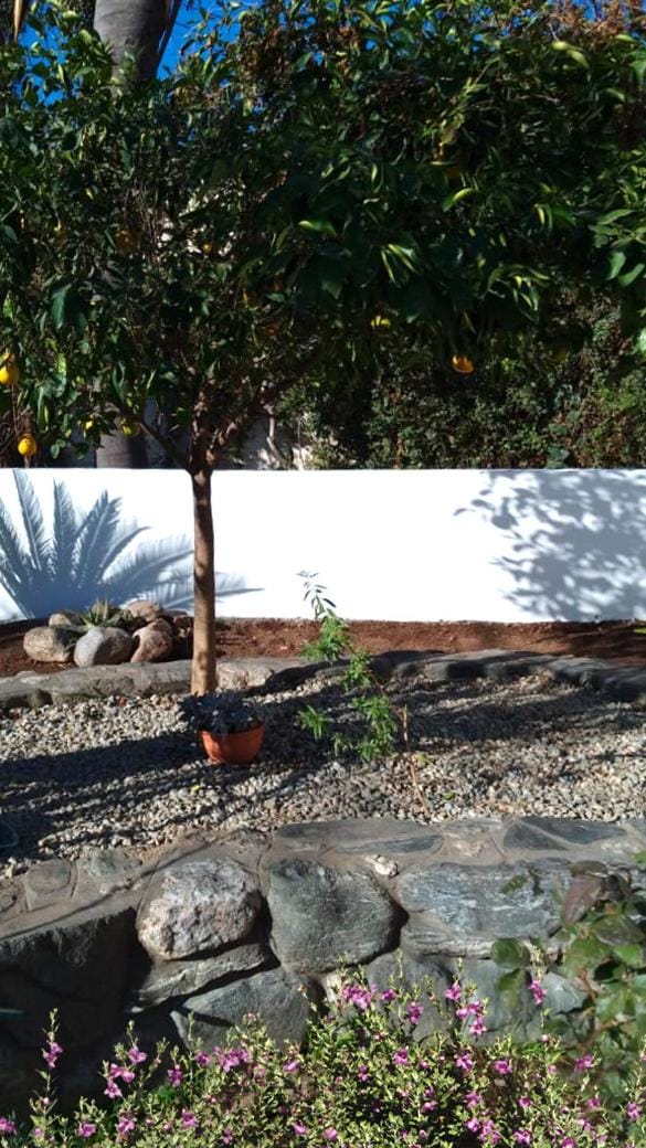 Garden view