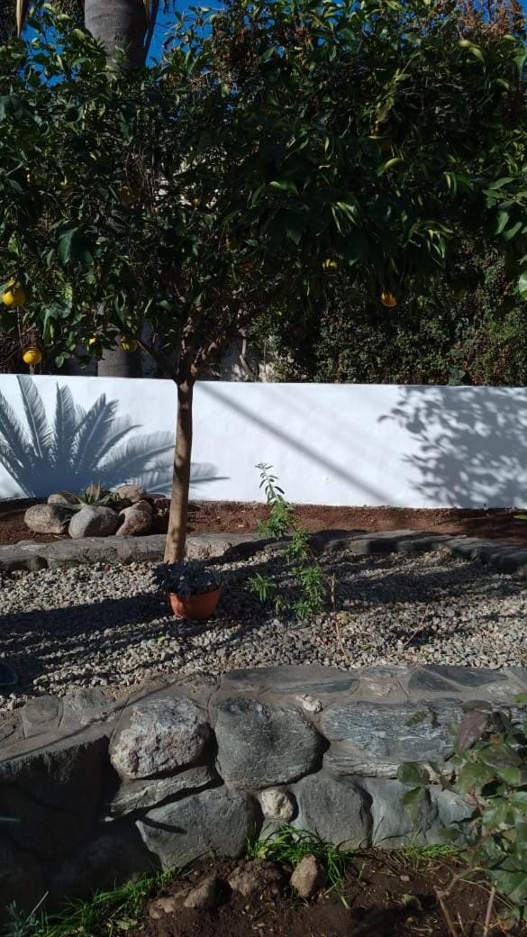Garden, Garden view