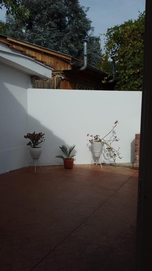 Garden, Inner courtyard view