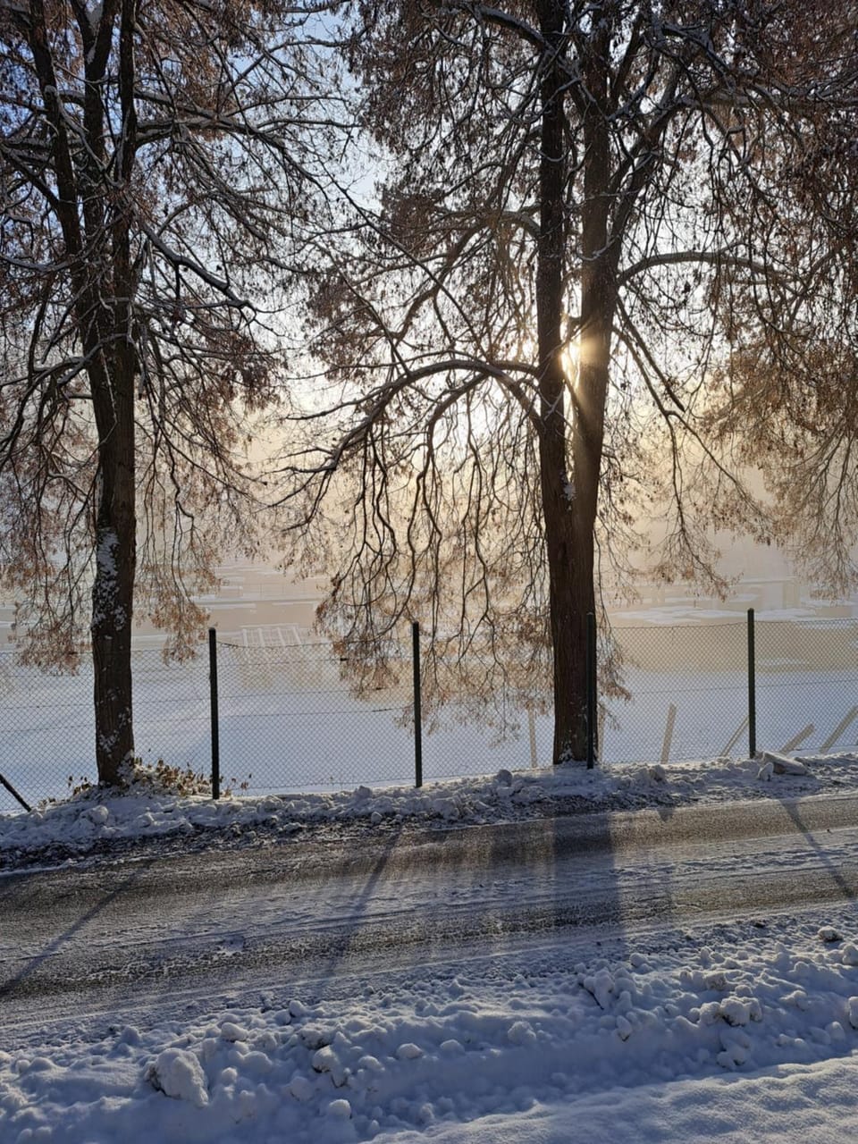 Natural landscape, Winter