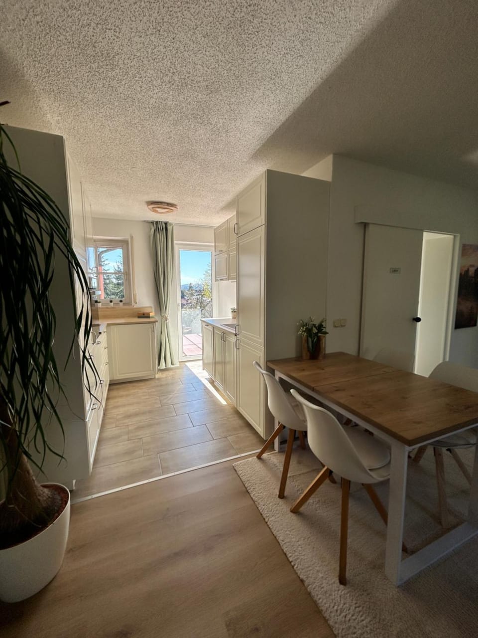 Kitchen or kitchenette, kitchen