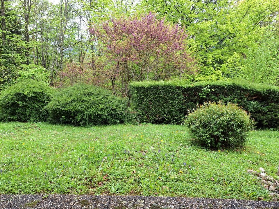 Day, Natural landscape, Garden, Garden view