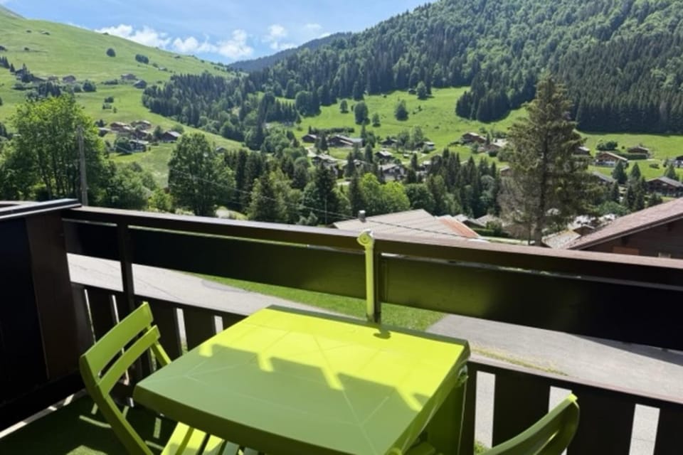 Sunny studio with open view full comfort Apartment in La Clusaz