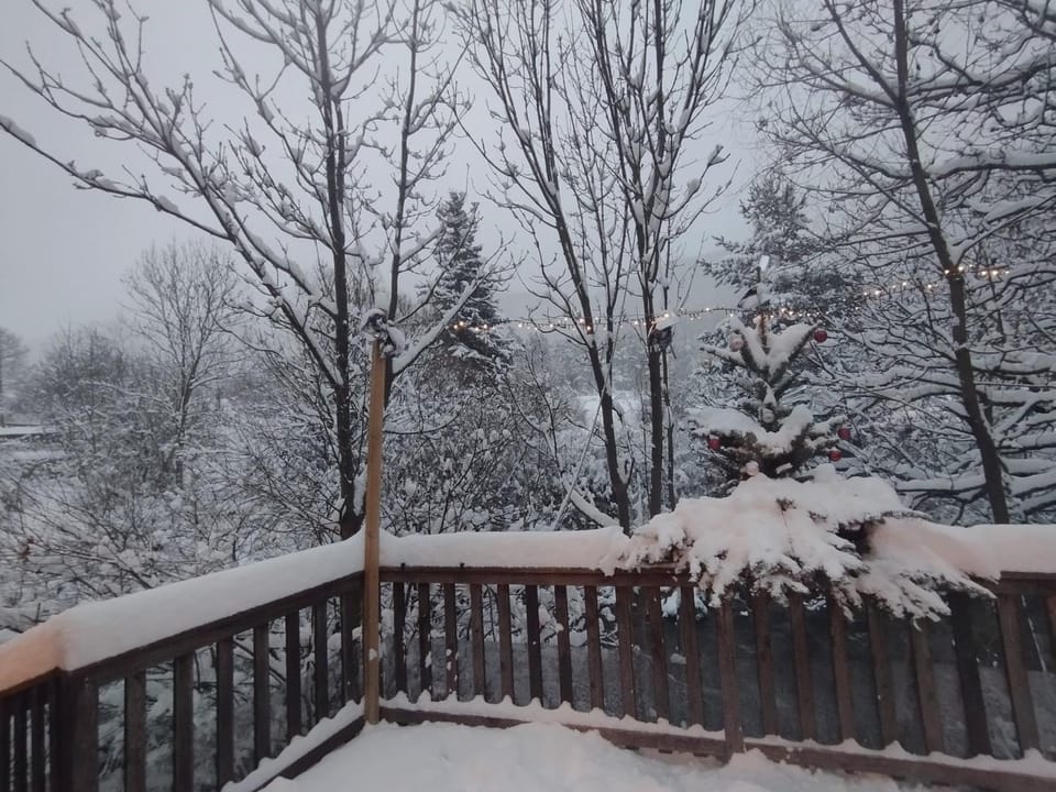 Natural landscape, Winter