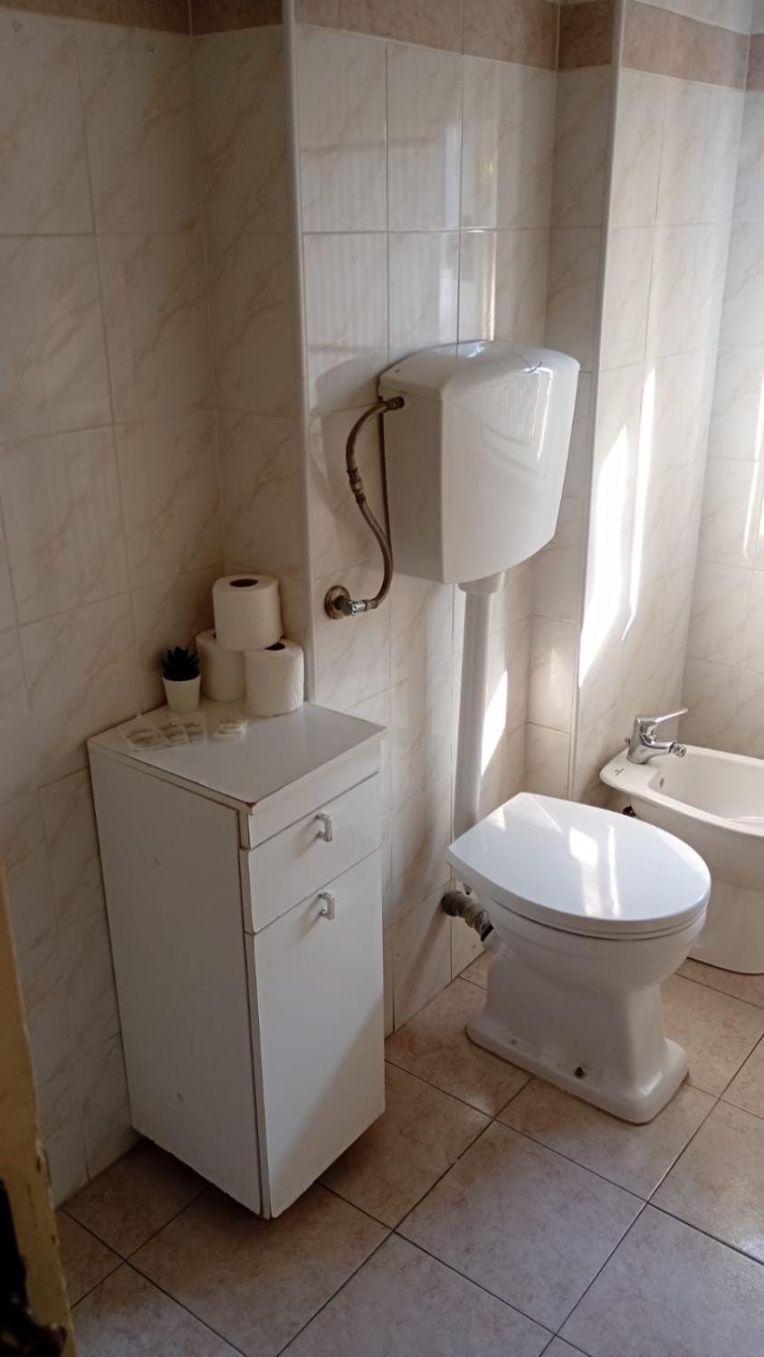 Toilet, Bathroom, bidet