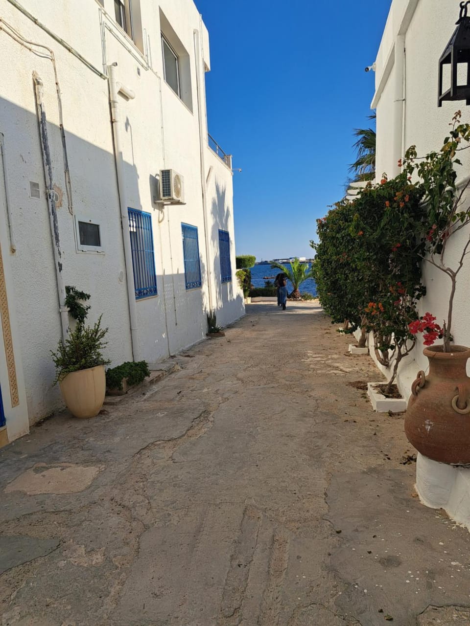 Property building, Day, Neighbourhood, Street view
