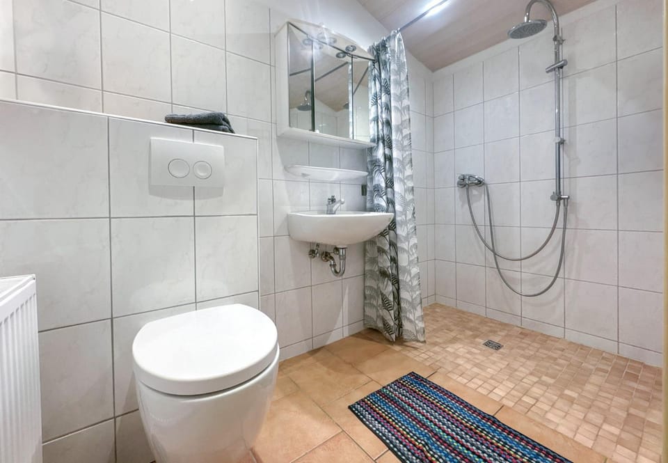 Shower, Toilet, Bathroom, towels