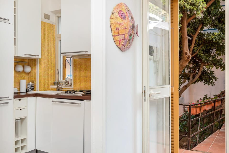 CasaSolemare Terrace seaview AC Apartment in Porto Venere