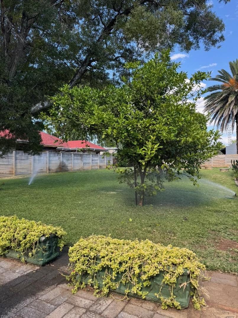 Garden, Garden view, Inner courtyard view