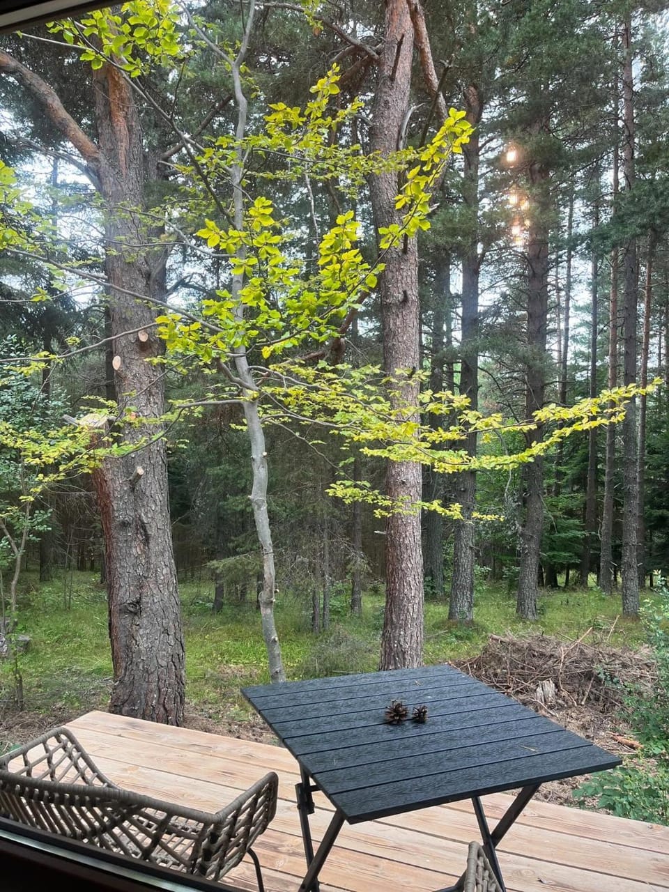 Zarevo Glamping Forest Houses Chalet in Plovdiv Province