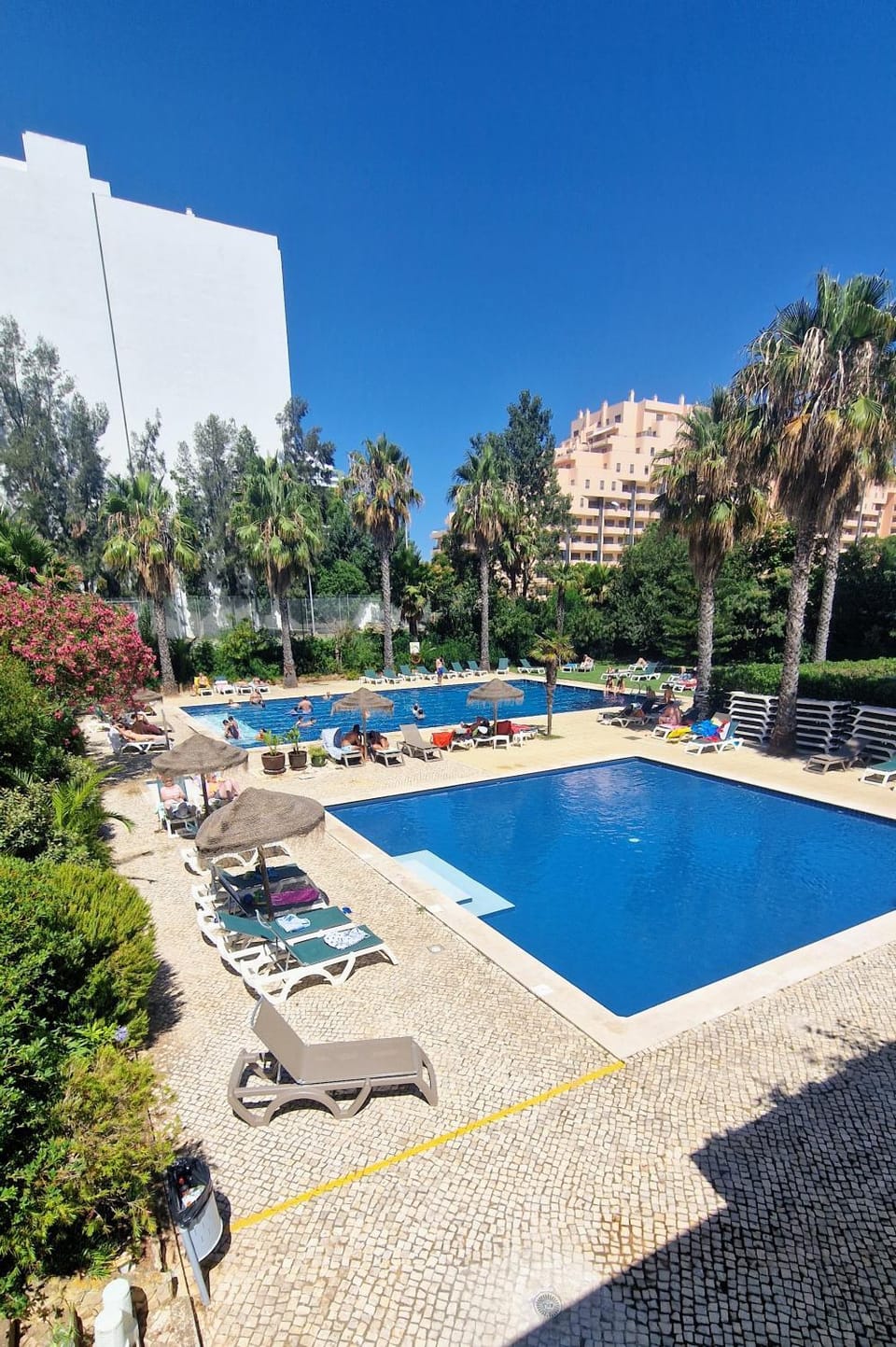 Garden, Garden, Swimming pool, sunbed