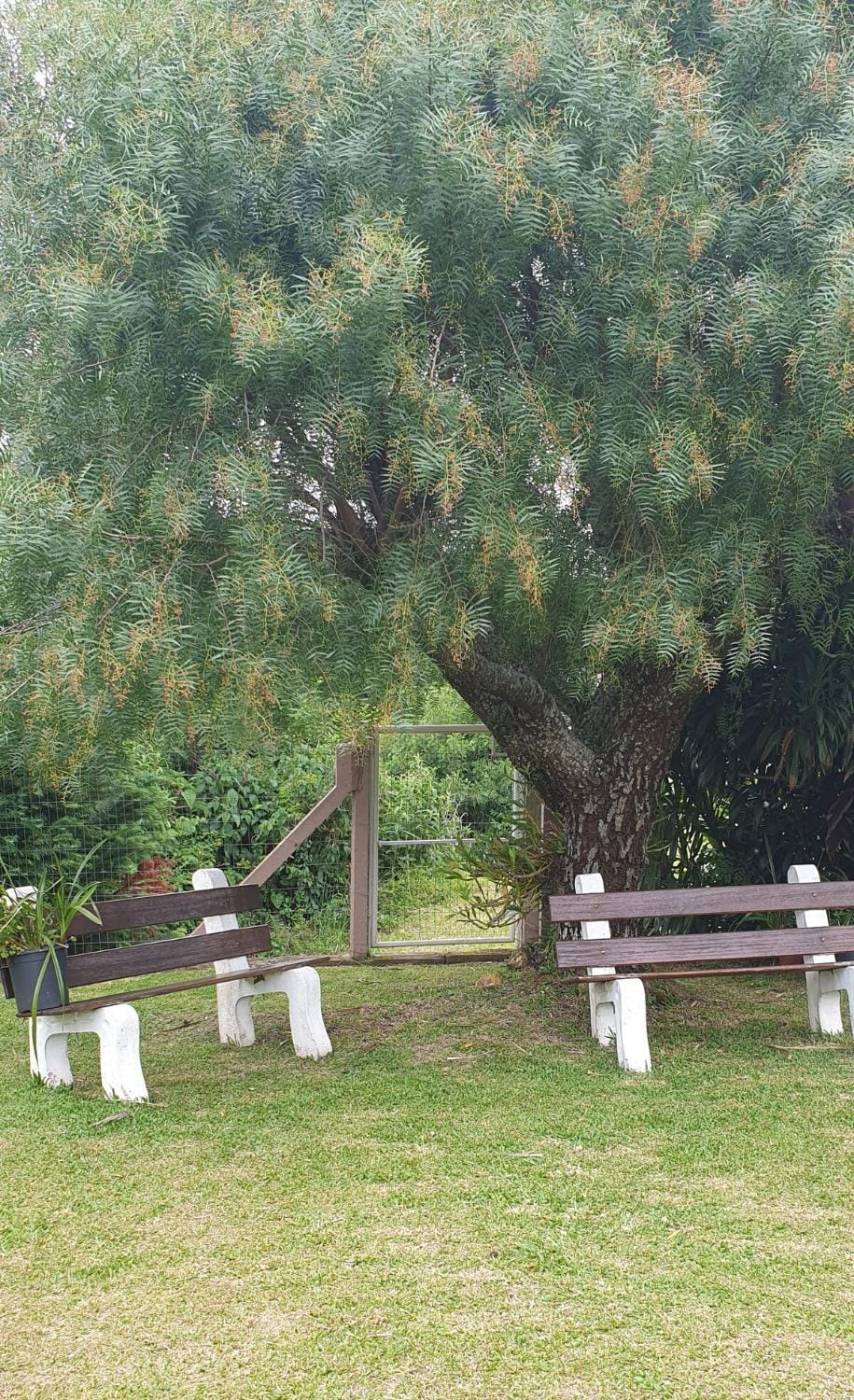 Natural landscape, Garden