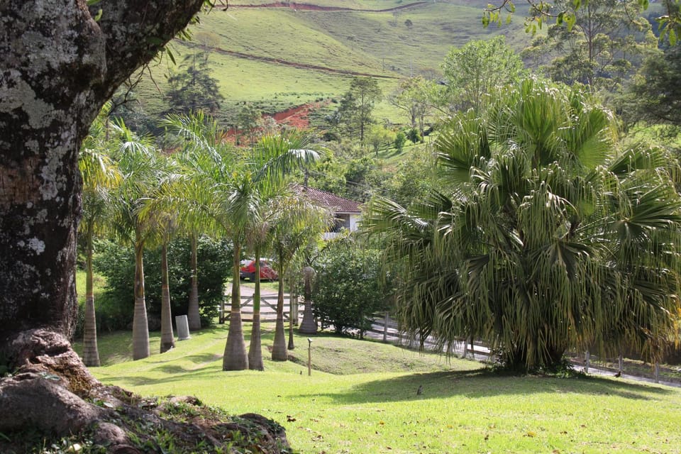 Natural landscape