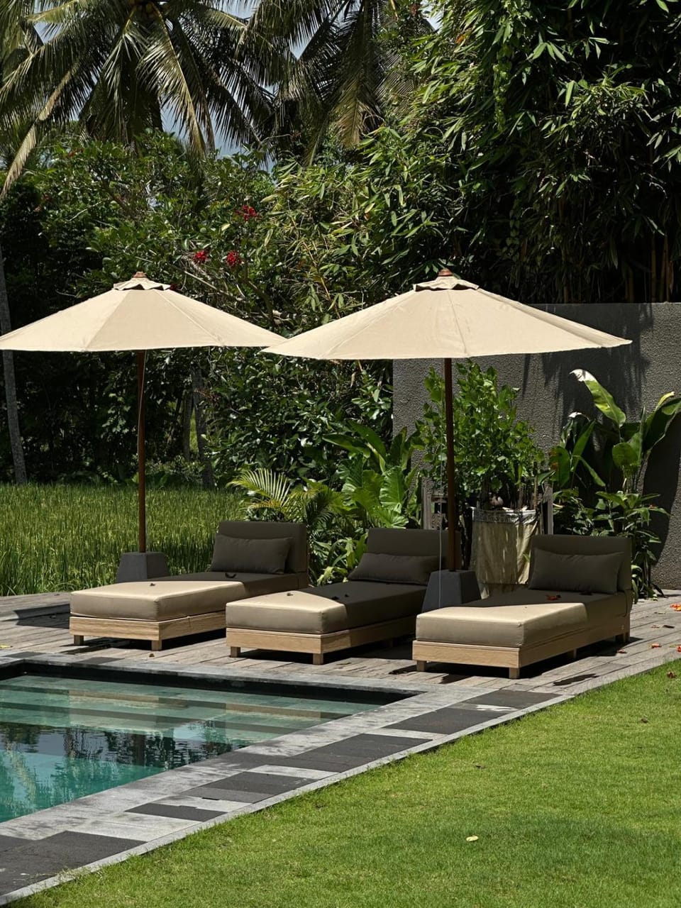 Garden, Swimming pool