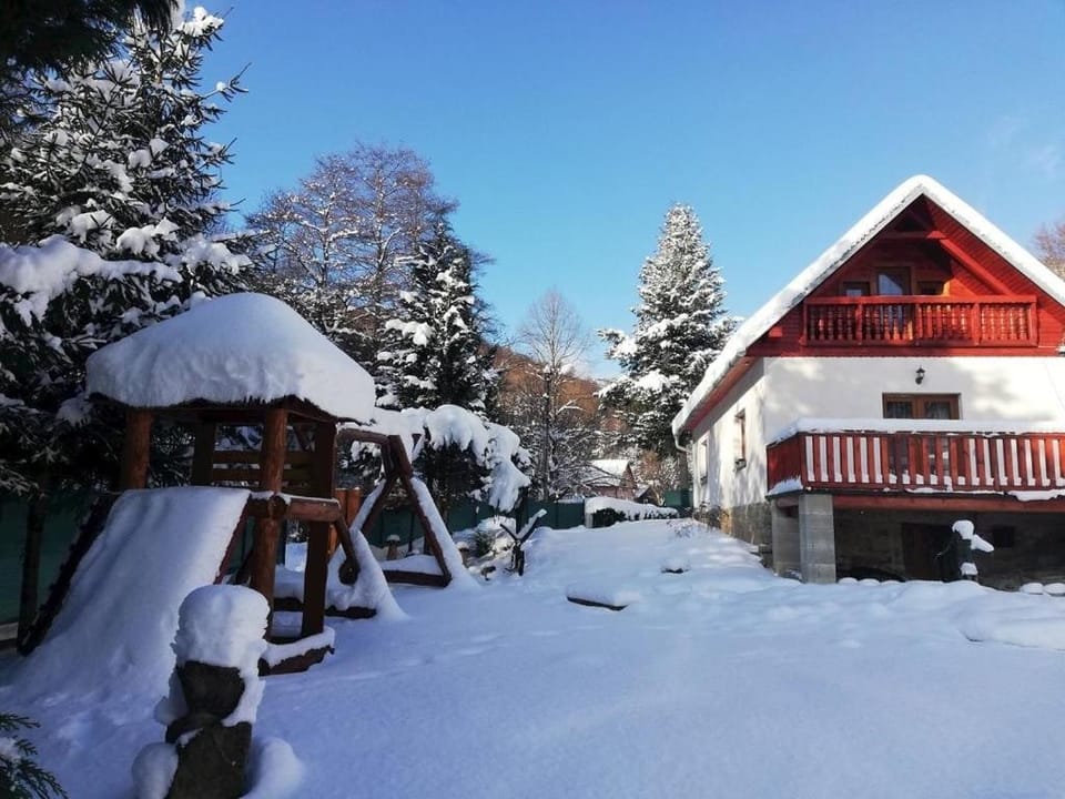Winter