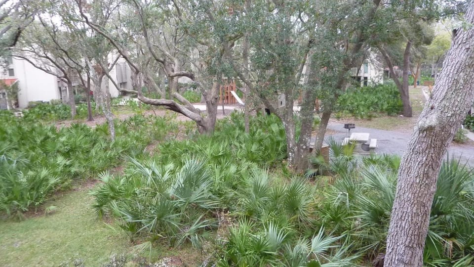 Villa 212 - Oceanbreeze House in Camden County