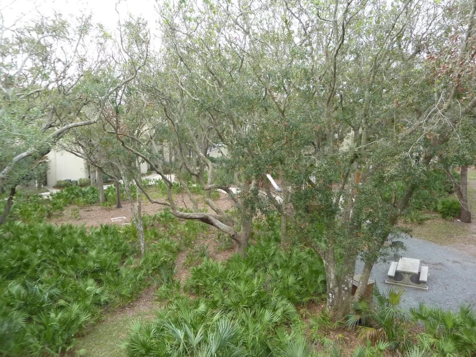 Villa 212 - Oceanbreeze House in Camden County