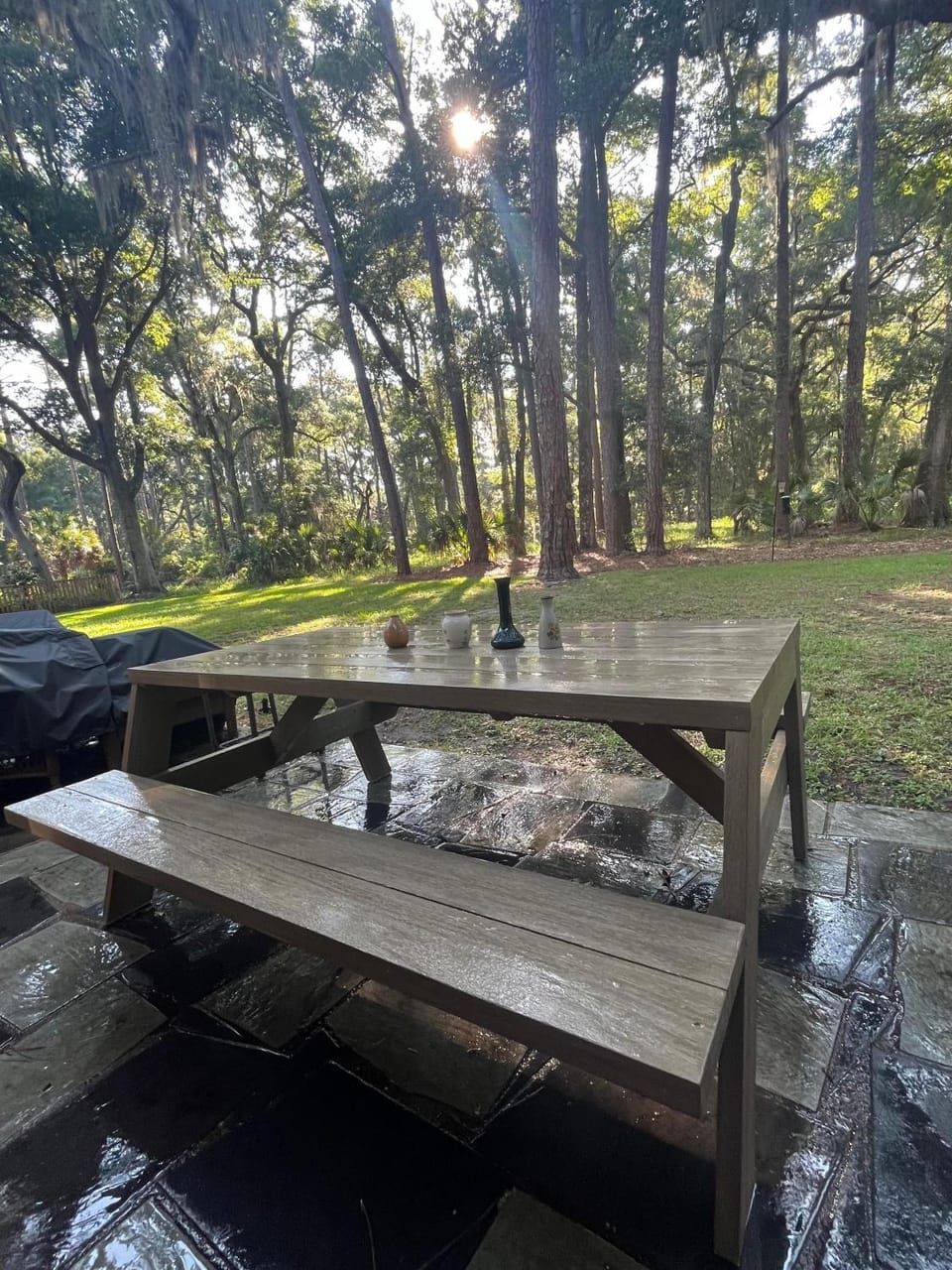 Live Oak Hideaway House in Camden County