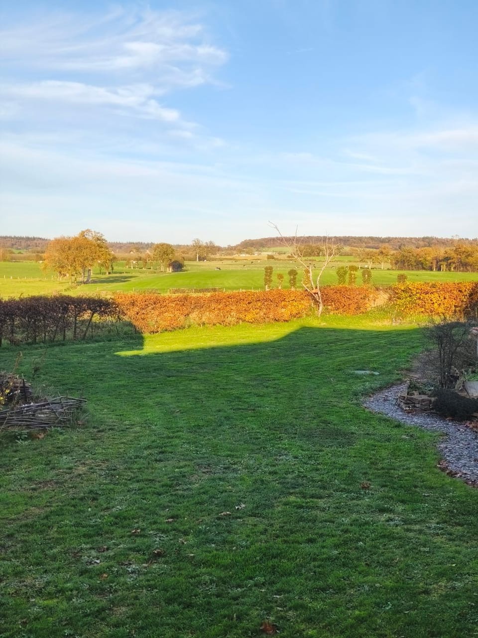 Garden view