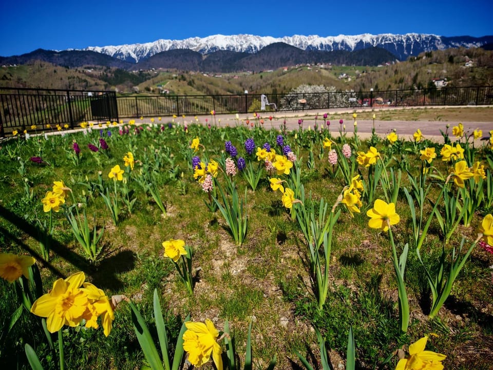 Spring, Day, Natural landscape, Mountain view