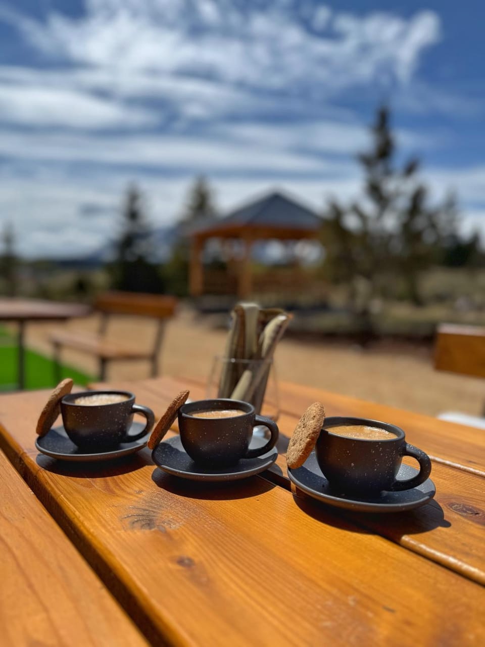 Patio, Day