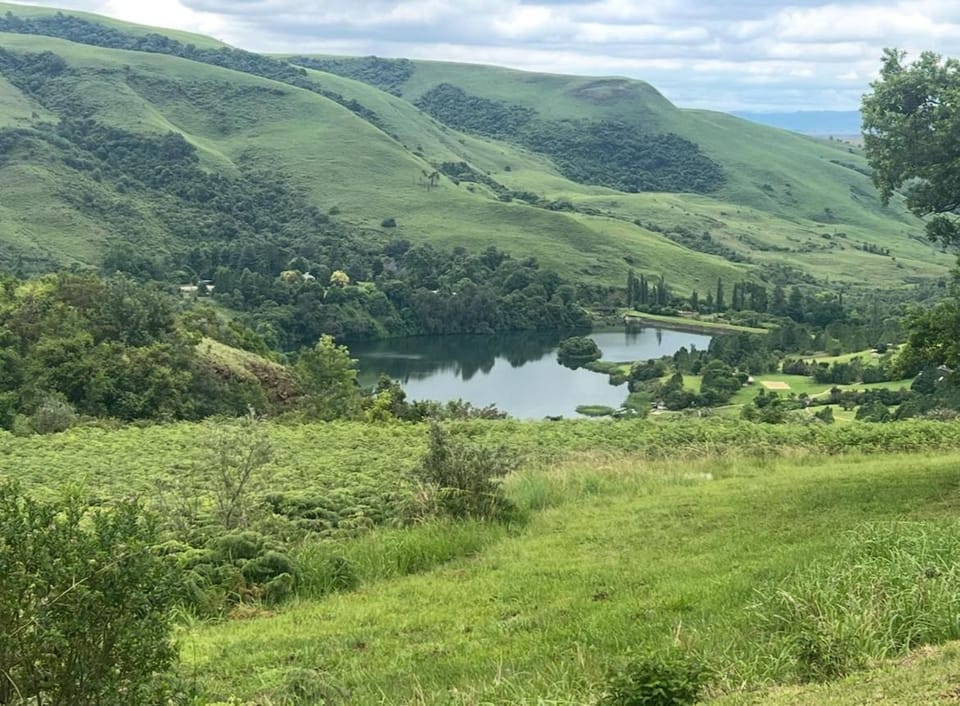 Lake view