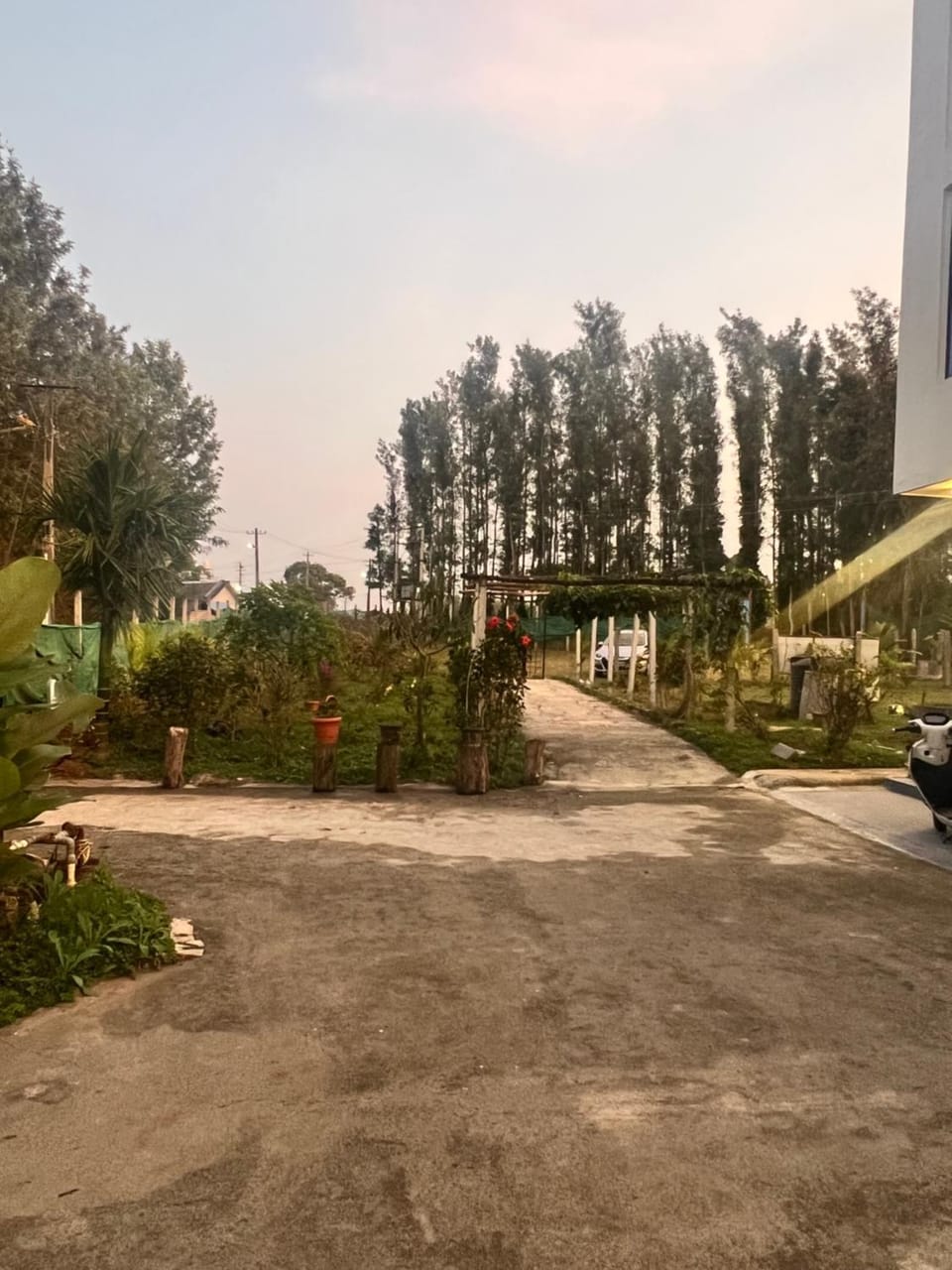 Facade/entrance, Garden view