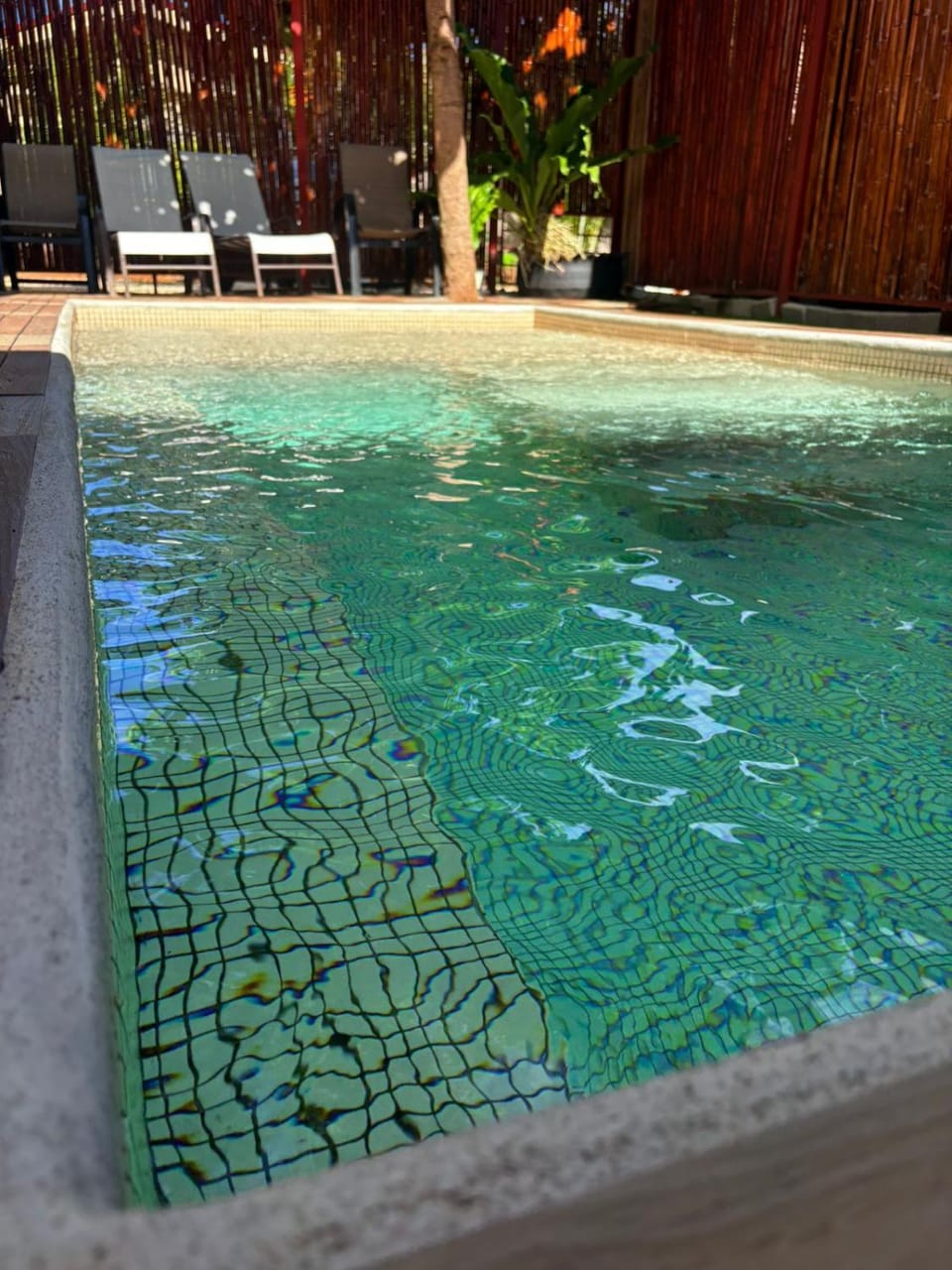 Garden, Swimming pool