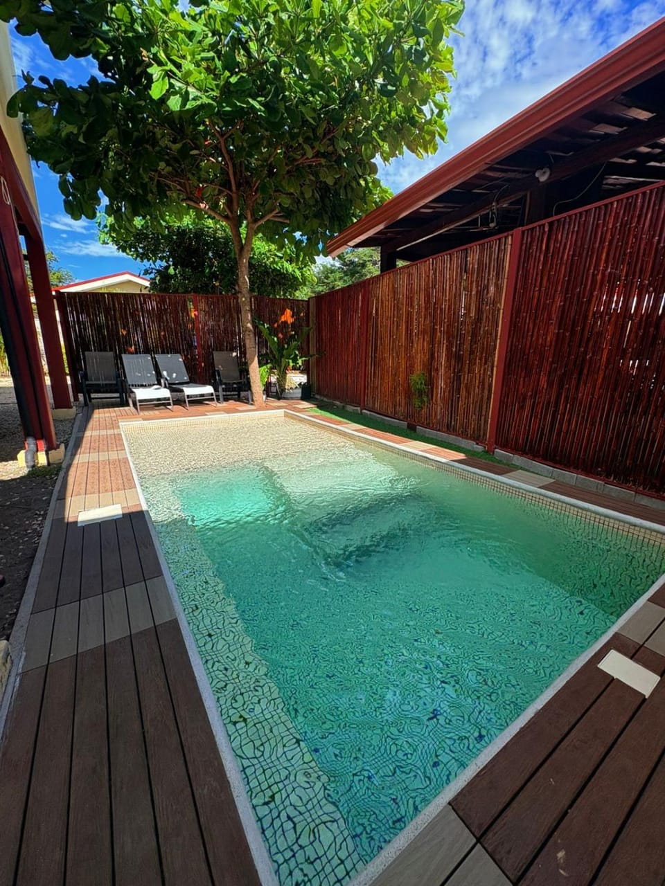 Garden, Swimming pool
