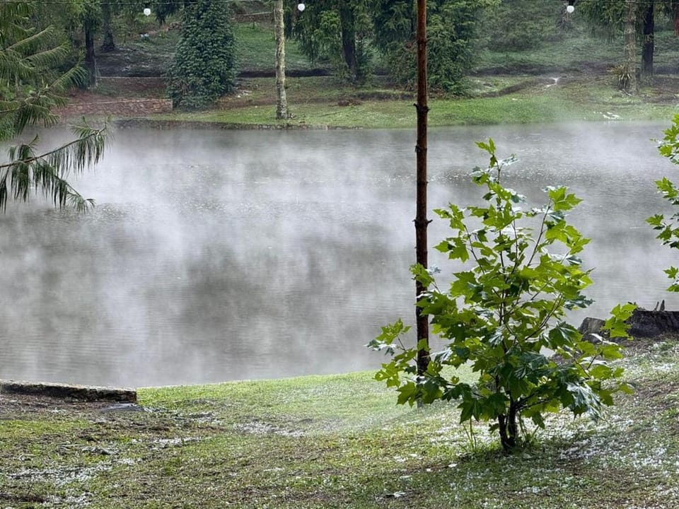 Lake view