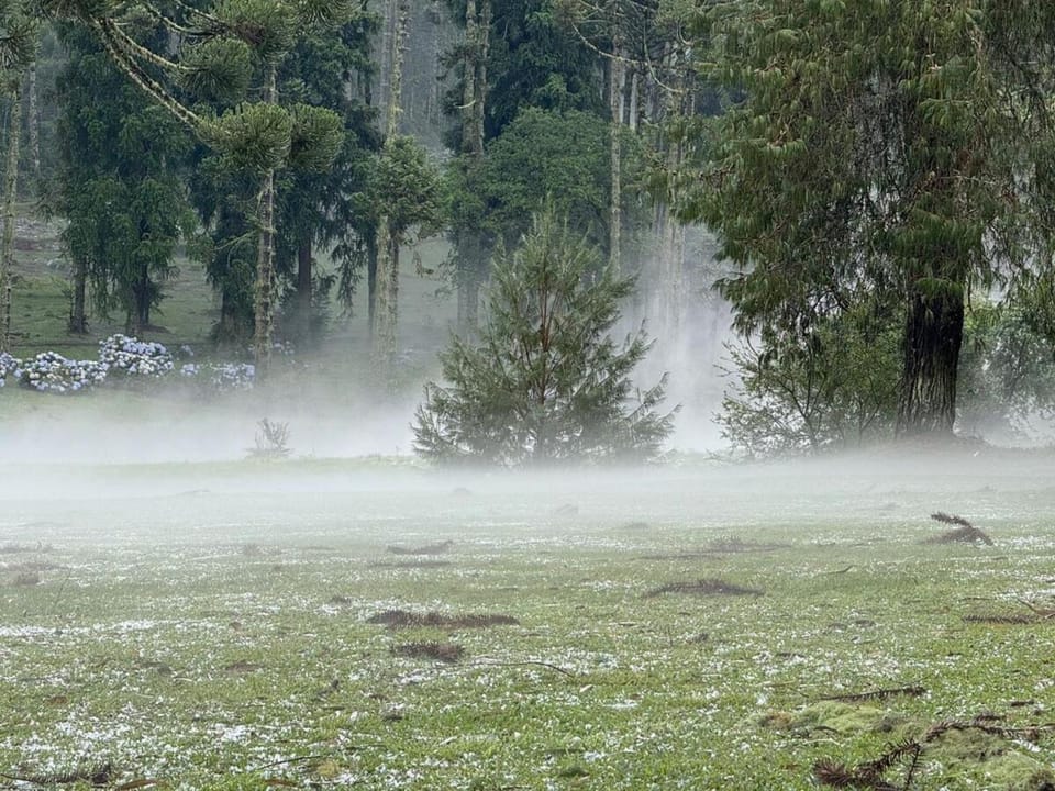 Natural landscape
