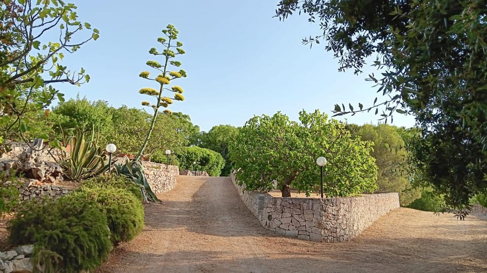 Villa Sergio - Health & Nature Vacation rental in Province of Taranto