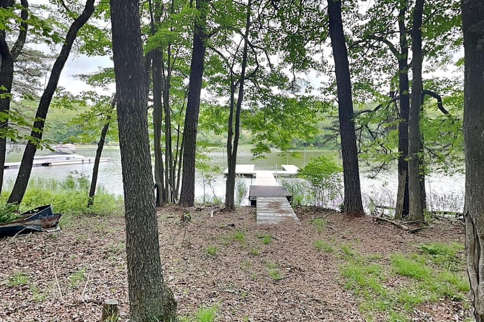 Natural landscape, Garden, Lake view