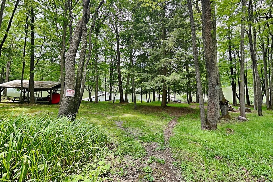 Natural landscape, Garden, Lake view