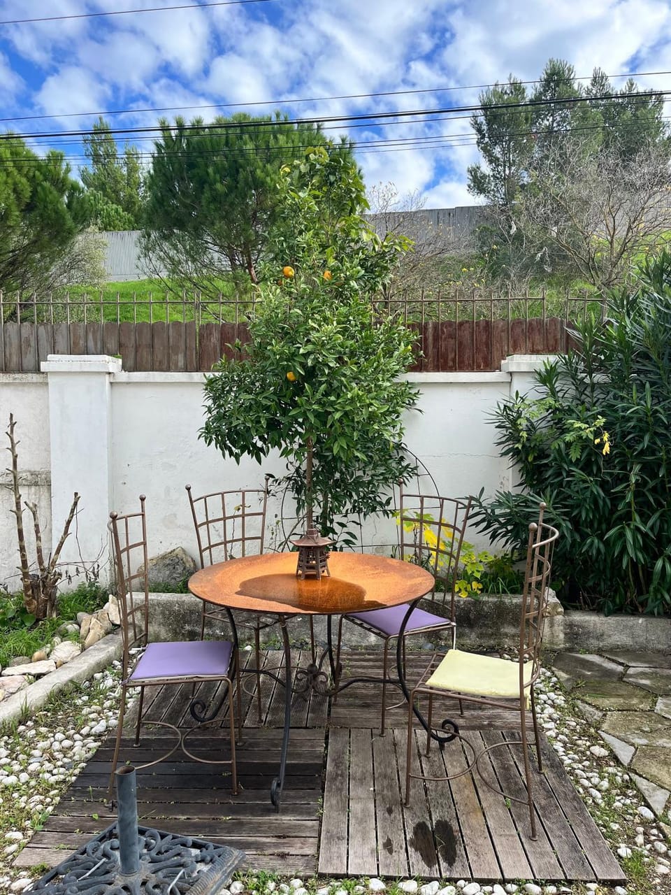 Patio, Garden, View (from property/room)