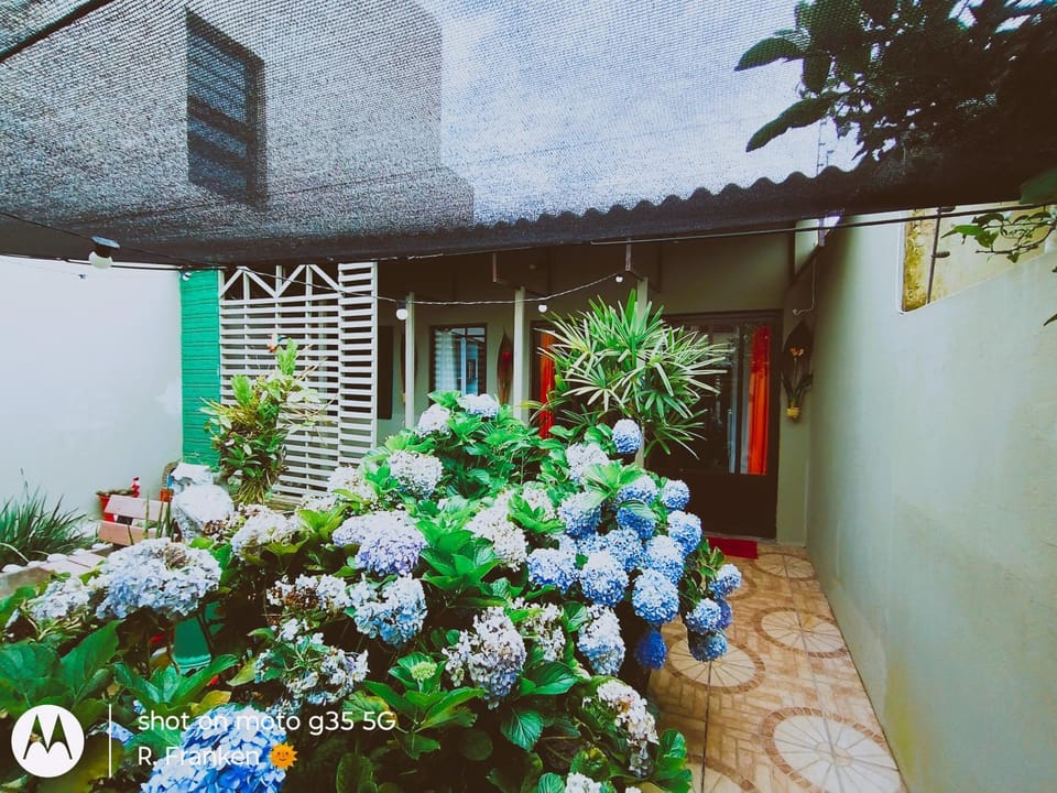 Property building, Garden, Garden view