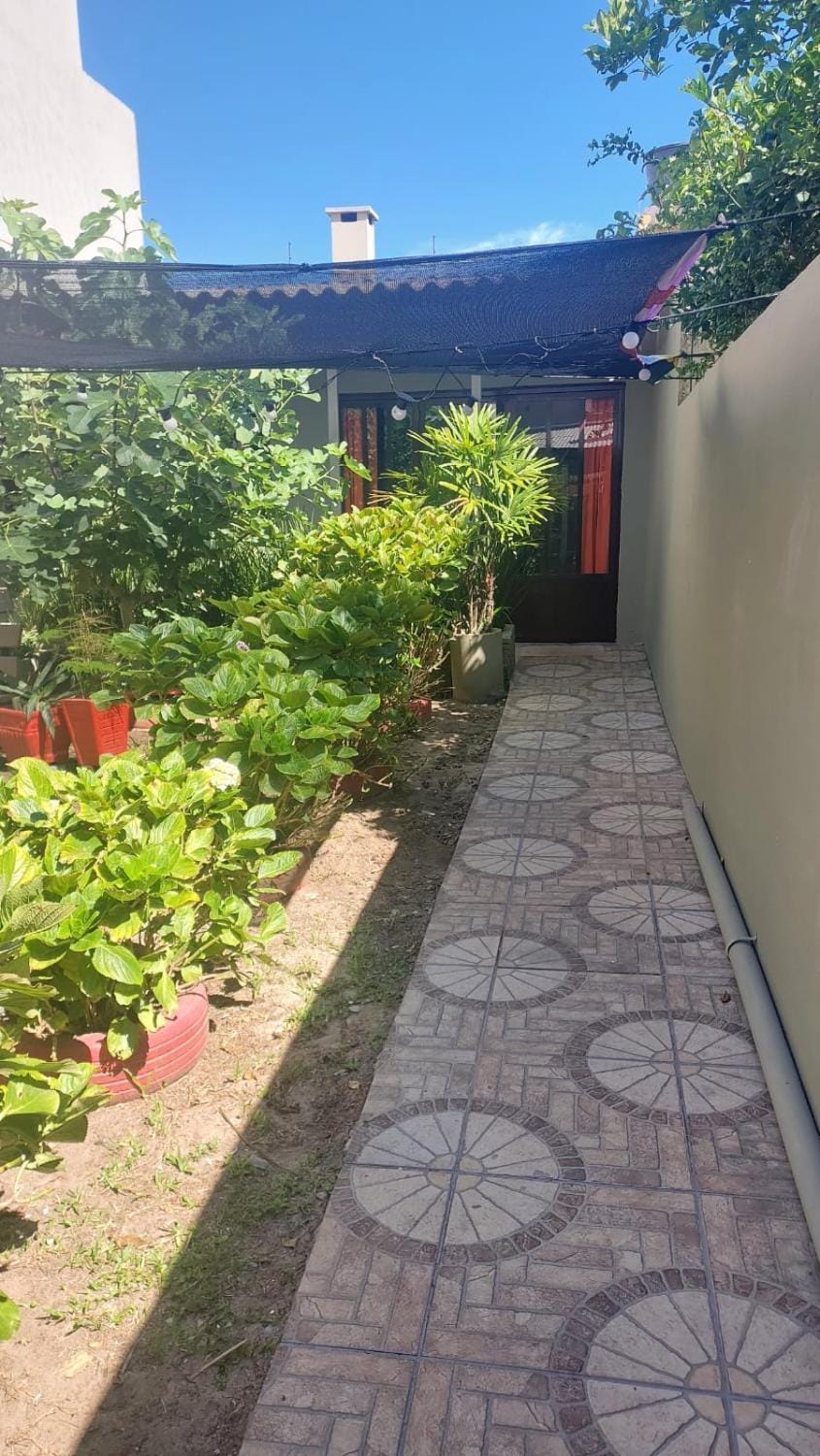 Garden, Garden, Garden view