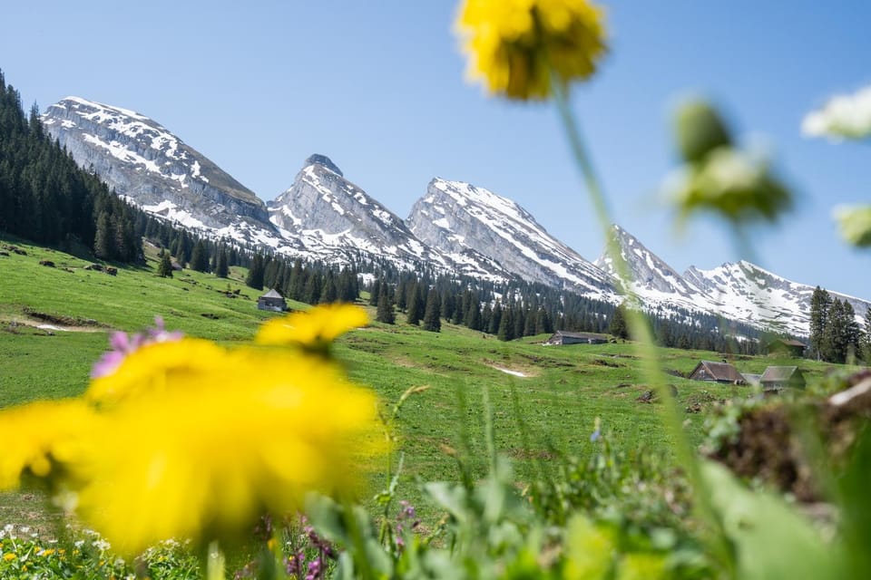 Natural landscape, Hiking