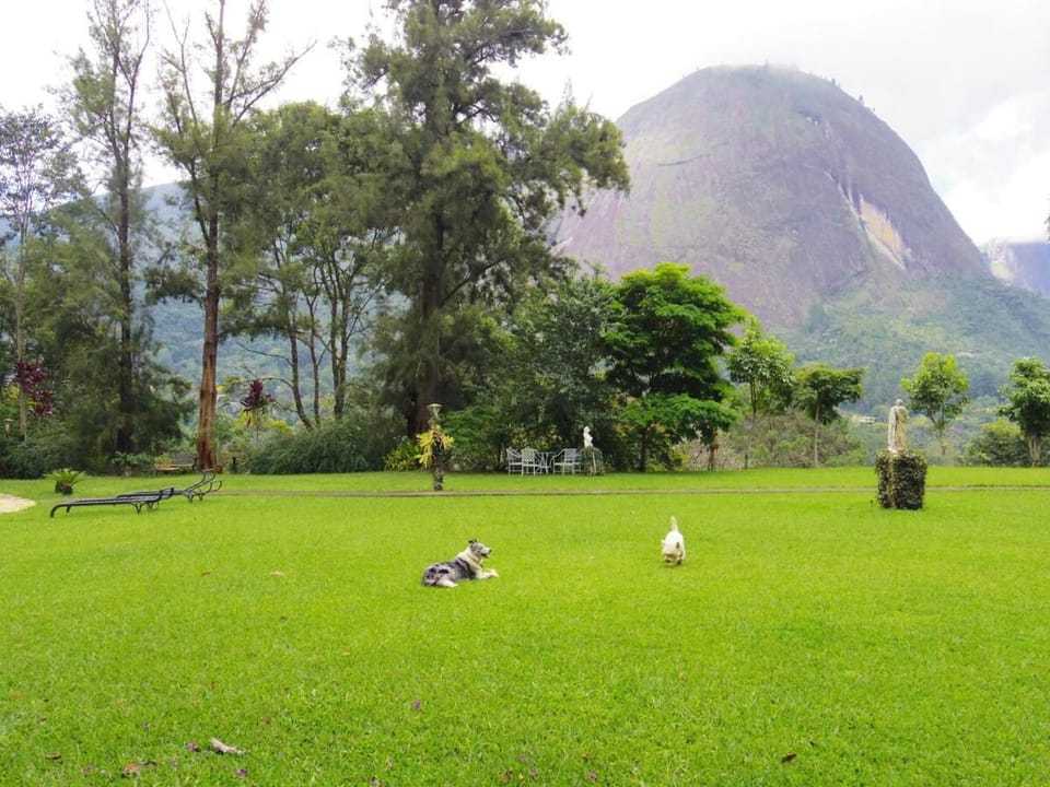 Country house with pool and stunning view! House in State of Rio de Janeiro